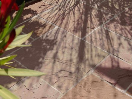 Sandstein-Platten Modak, Terrasse mit Pflanze im Vordergrund