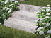Blockstufen Travertin Silver mit Garten