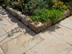 Garten eingerahmt von Sandsteinplatten Yellow Mint
