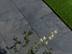Zweige hängen über Terrassenplatten Alpine Black mit angrenzender Rasenfläche