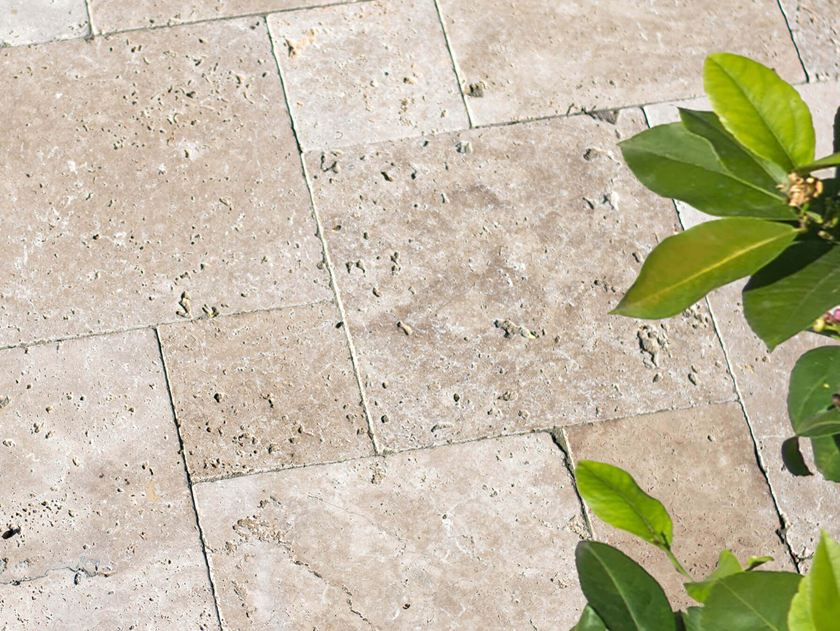 Travertinplatte Medium Nahaufnahme mit Pflanzen