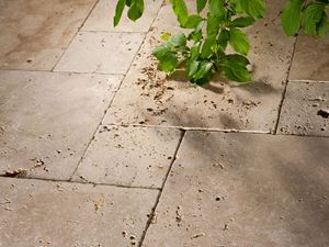 Travertin-Platten Rustic, getrommelt, von oben ragt ein grüner Zweig ins Bild