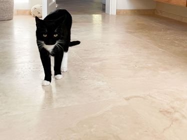 Travertinfliese-Classic-light-Katze-Bad