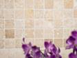 Lila Blüten vor einem beige-braunen Travertin-Mosaik