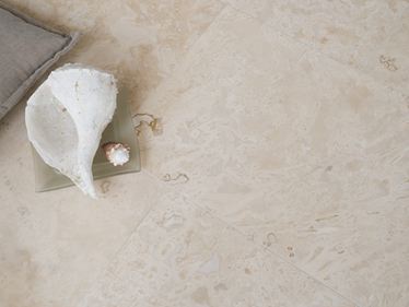 Une coquille blanche sur des carreaux de travertin clair