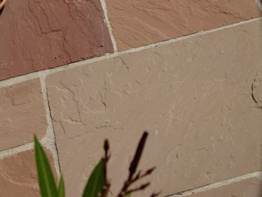 En détail: Une branche verte avec du grès Modak