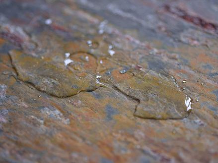 Badezimmerfliese nass01