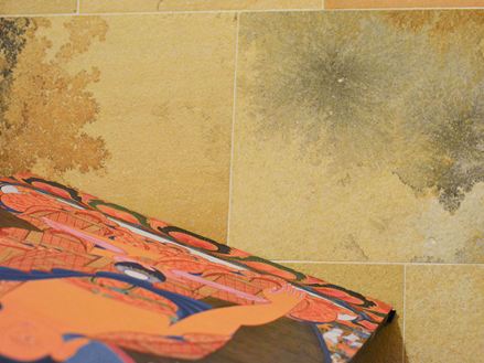 Nahaufnahme von Solnhofener Kalkstein mit faszinierenden Inklusionen