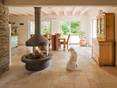 Travertin-Fliesen Light im Wohnzimmer mit Kamin und Hund