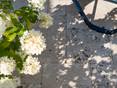 Stimmungsvolle Schattenspiele auf Travertin Rustic