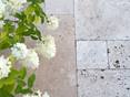 Natur pur: Blumen und Travertin