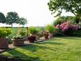 Garten mit blühenden Rosen