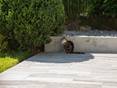 Katze auf Granit Urban Grey Line-Terrasse
