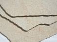Polygonalplatten sehen auch in Sandfarben toll aus