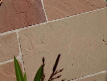 Zweig ragt auf Terrasse aus rötlichen Sandsteinplatten